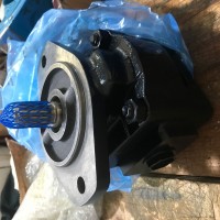 BUCHER布赫油泵齿轮泵OX82-160/82-160R