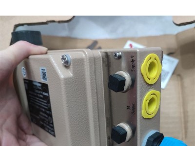 SAMSON 5824-20 2770-020400-02图2