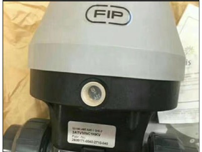 RVUIV意大利FIP格林韦德图1